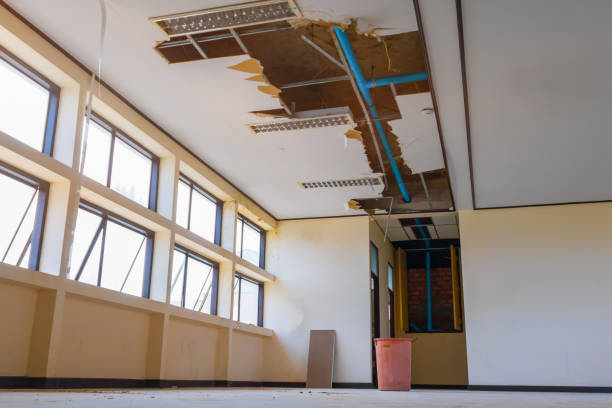 Best Flood restoration services  in Atlantic Beach, FL