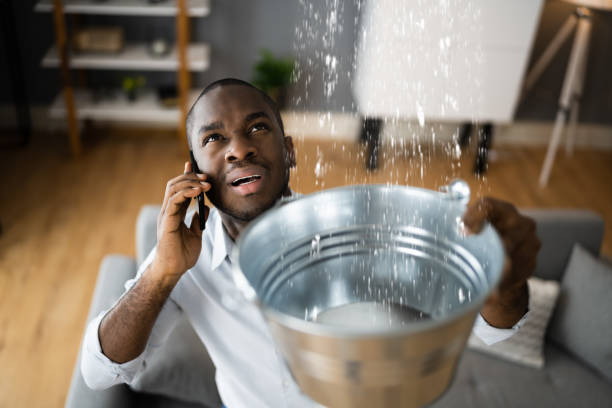 Best Carpet water damage restoration  in Atlantic Beach, FL