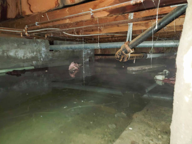 Best Water damage restoration company  in Atlantic Beach, FL