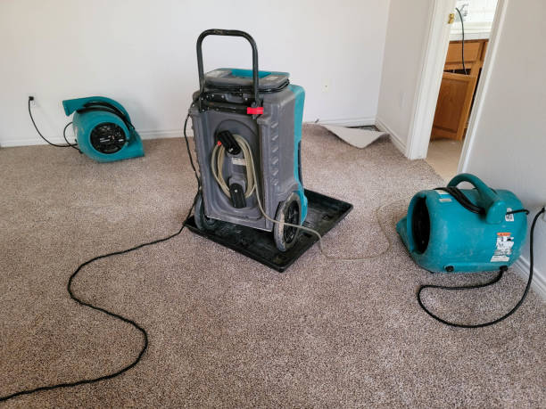 Best Flood restoration services  in Atlantic Beach, FL