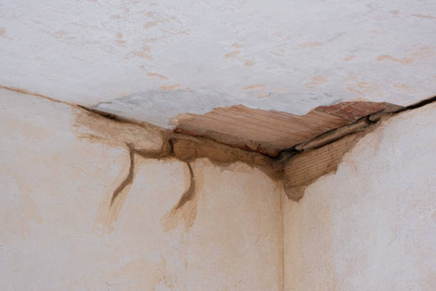 Best Professional water damage repair  in Atlantic Beach, FL