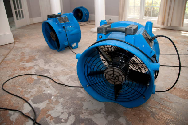Best Basement water damage restoration  in Atlantic Beach, FL