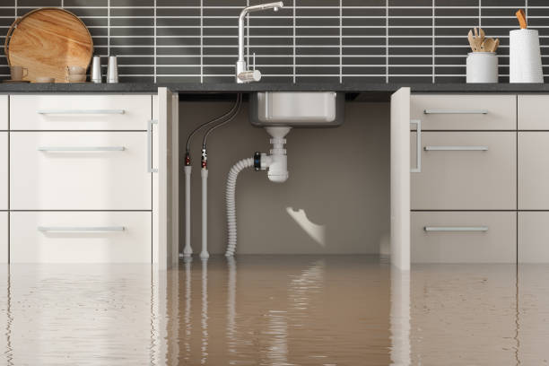 Best Ceiling water damage repair  in Atlantic Beach, FL