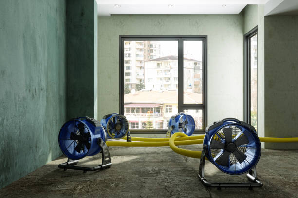 Best Water damage restoration mold remediation  in Atlantic Beach, FL
